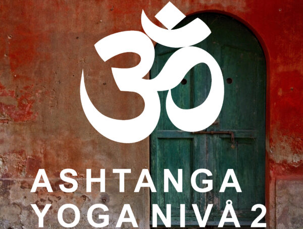 Ashtangayoga nivå 2 måndagar 1/9 - 13/10