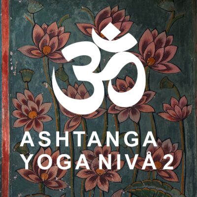 Ashtangayoga nivå 2<br> måndagar 20/10 - 1/12