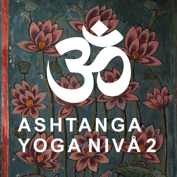 Ashtangayoga nivå 2<br> måndagar 20/10 - 1/12