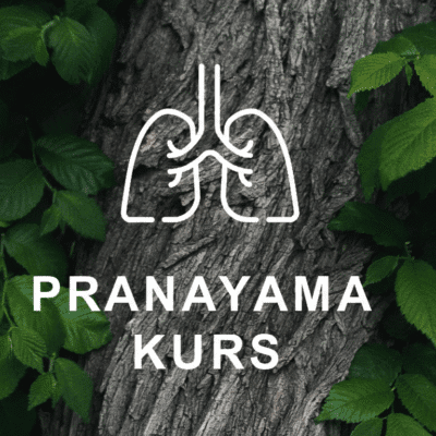 Pranayama kurs<br> söndagar 2/11 - 23/11