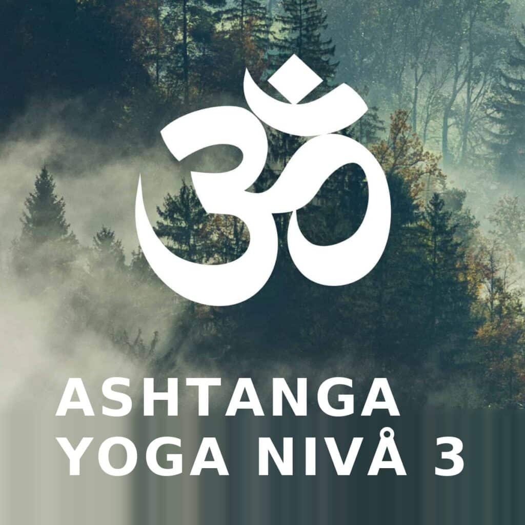 Ashtangayoga nivå 3 – fördjupad ashtangapraktik på Ashtanga Yogashala i Göteborg