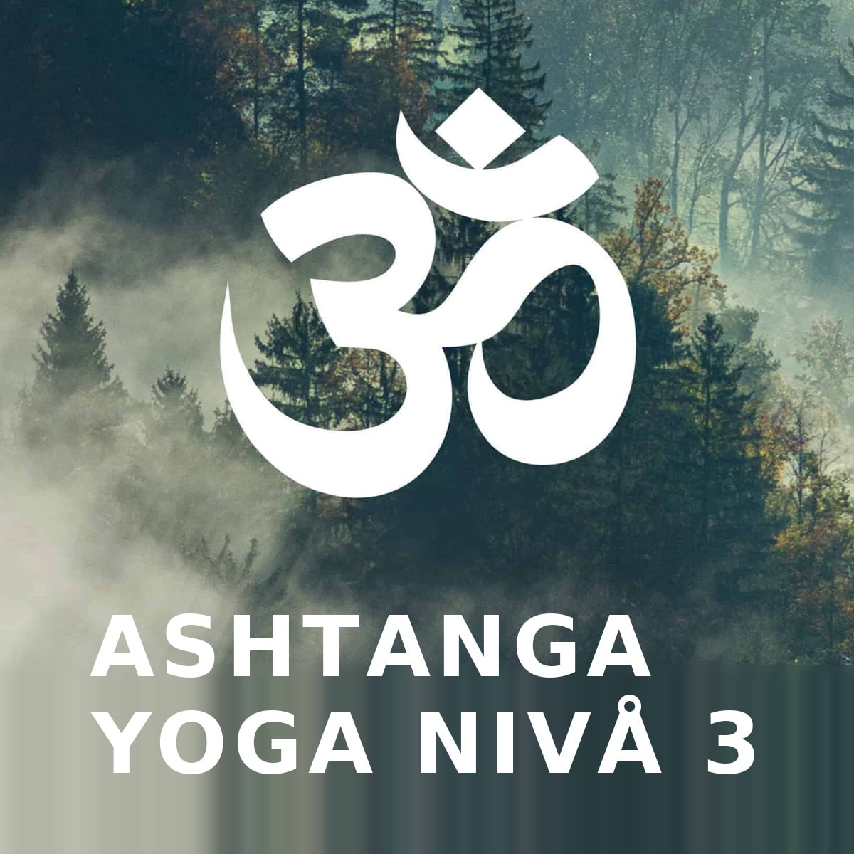 Ashtangayoga nivå 3 – fördjupad ashtangapraktik på Ashtanga Yogashala i Göteborg